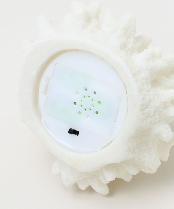 ���m�R�[���������v �r