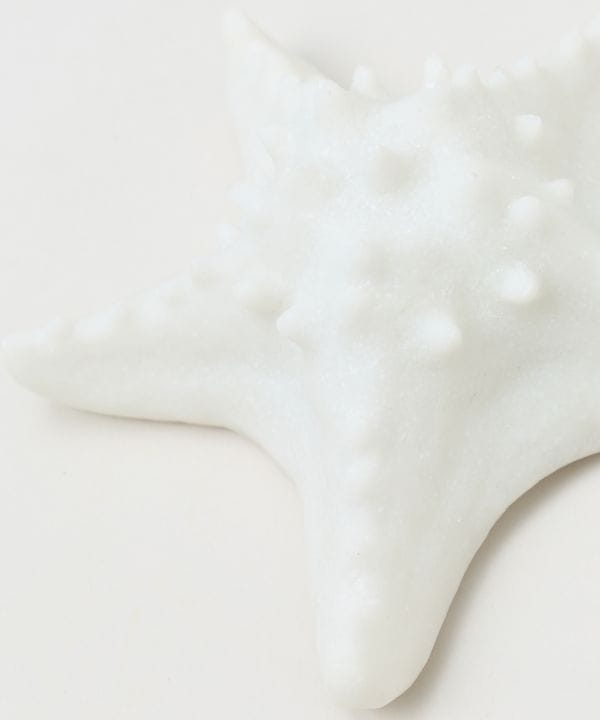 ���m�X�^�[�t�B�b�V�������v �r