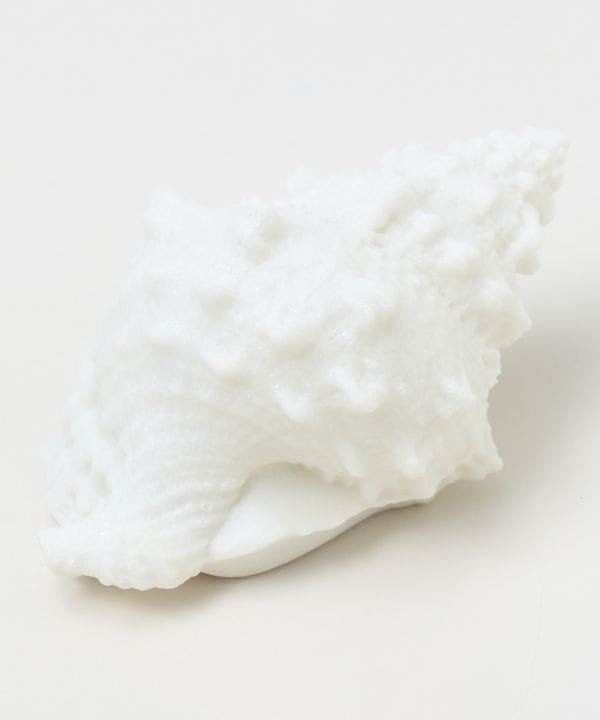 ���m�v�v�V�F�������v �r