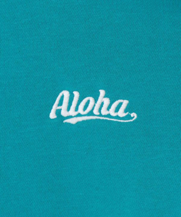 ���p�J�s�n�o