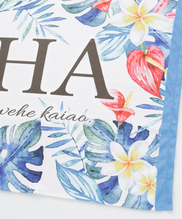 ���A�i�r�[�`�^�I��