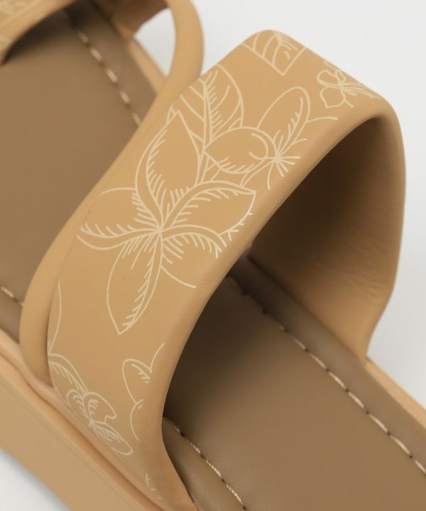 �L���v�������A�T���_��