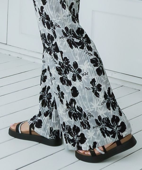 �w�����A�i�T���_��