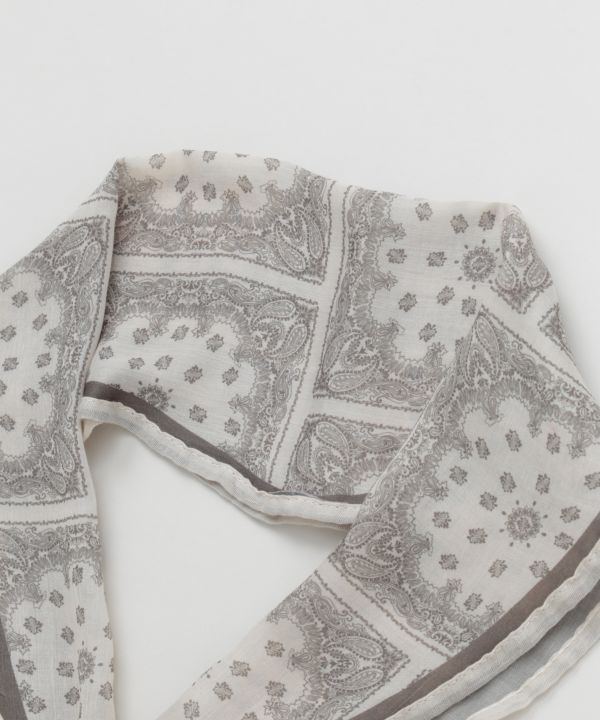 �o���f�B�X�g�[��