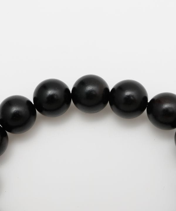 �����Y�c���[���C�t�z�\�u���X