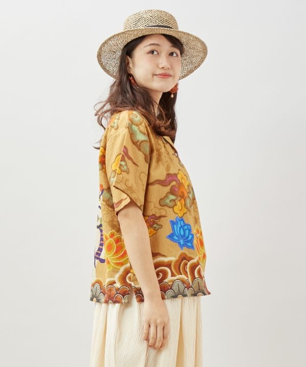 �p�^���J�V���c