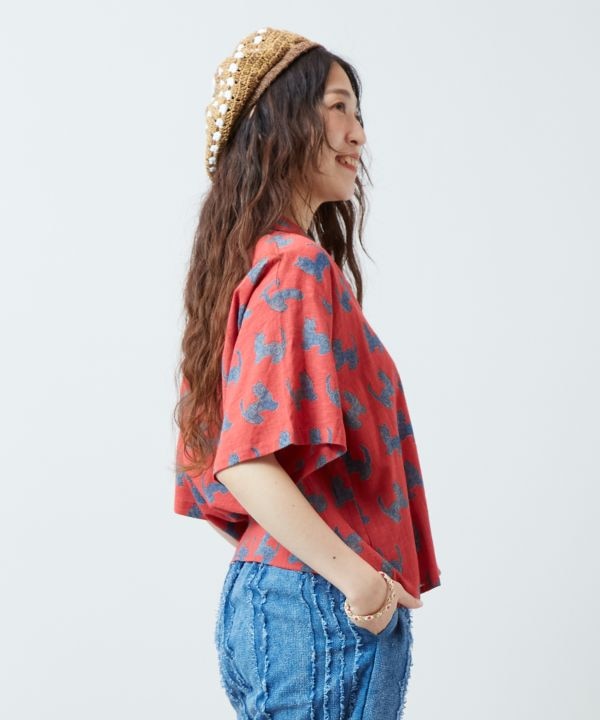 �n���V���V���c