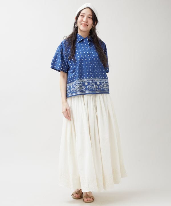 �f�B�u���i�V���c