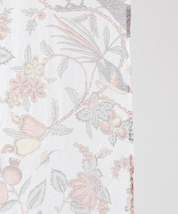 �o�h�t���m����