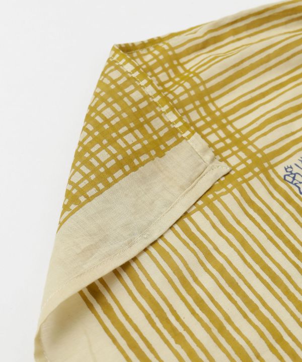 �v���g�X�g�[��