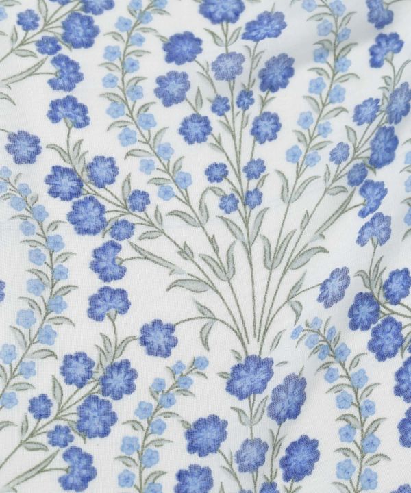 ���G���X�g�[��