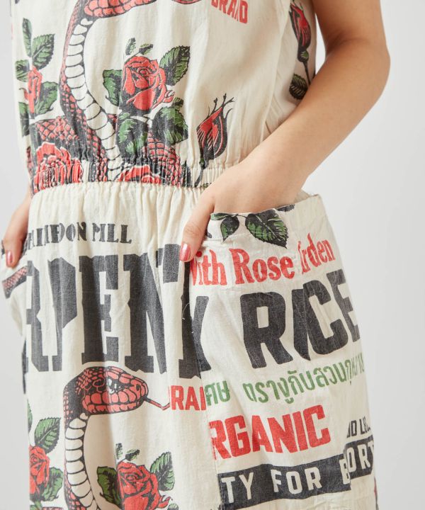 �R�g�T�i�����s�[�X