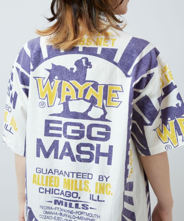 �R�g�T�i�V���c�����s�[�X