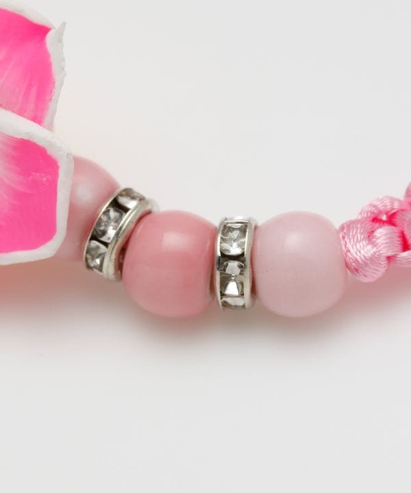 �v�����A�~�u���X