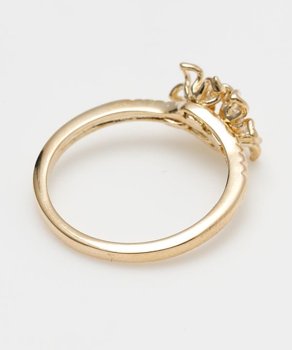 �v�A�v�A�����O