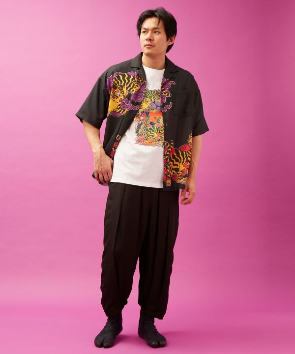 T�V���c�s�����ǎq×�`����J���t