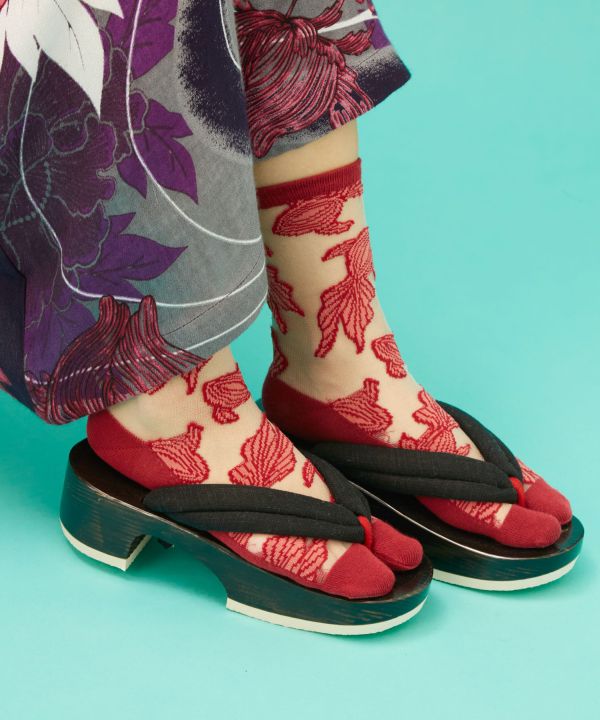 �a���_���������܁i23-25cm�j