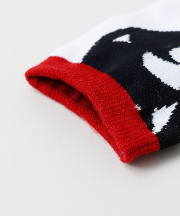 �Ղ葫�܁i23-25�����j