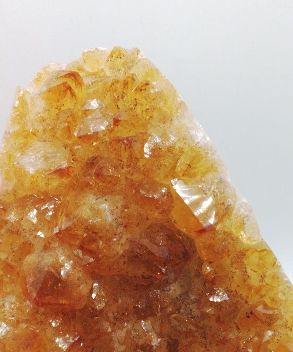 �y��_���z�V�g������J�b�g�P�O�P�Q��