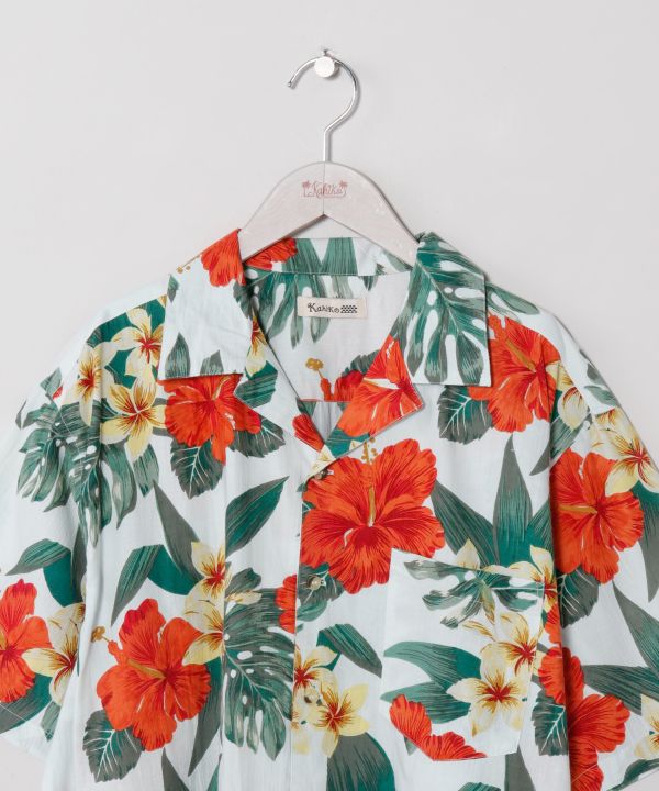 �n�J���E�����Y�V���c