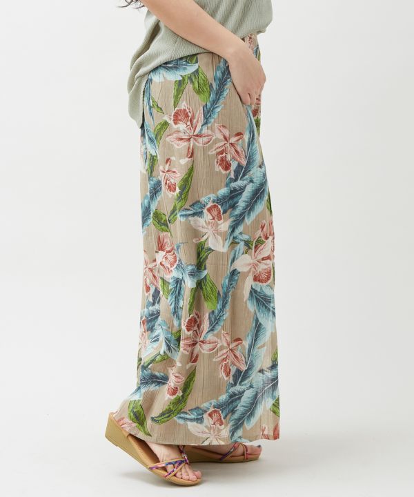 �n�J���E�p���c