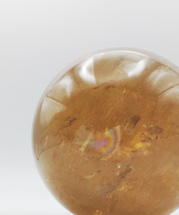 �y��_���z�V�R�V�g�����ۋ�