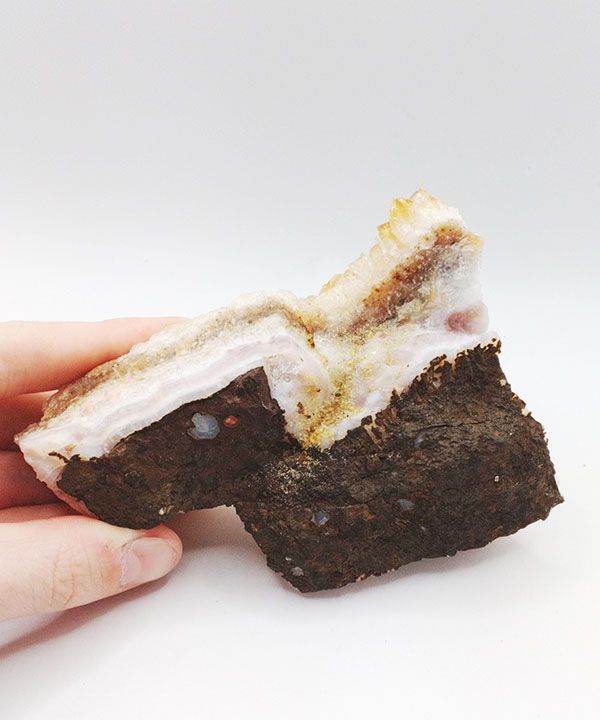 �y��_���z�V�g�����N���X�^�[327g