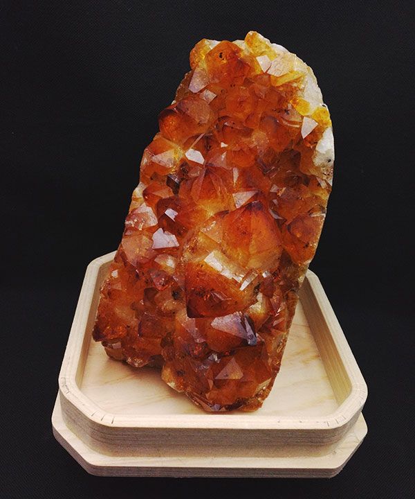 �y��_���z�V�g�����J�b�g�x�[�X1328g