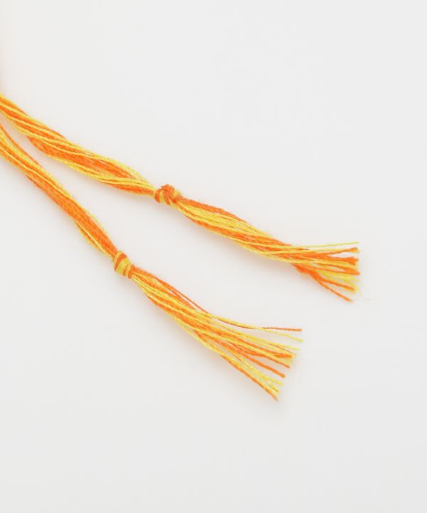 ���X�o�����~�T���K�u���X