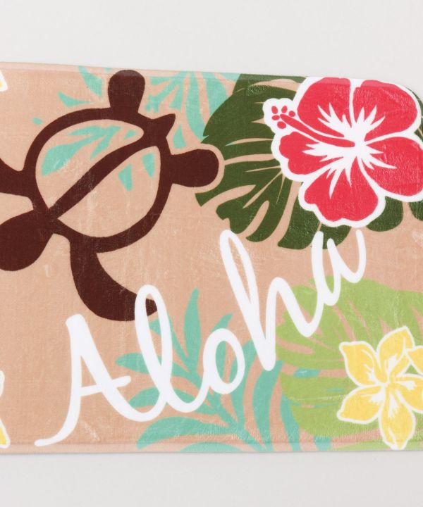 �R�N�A�L�t���A�l�`�s�i�P�Q�O�����j