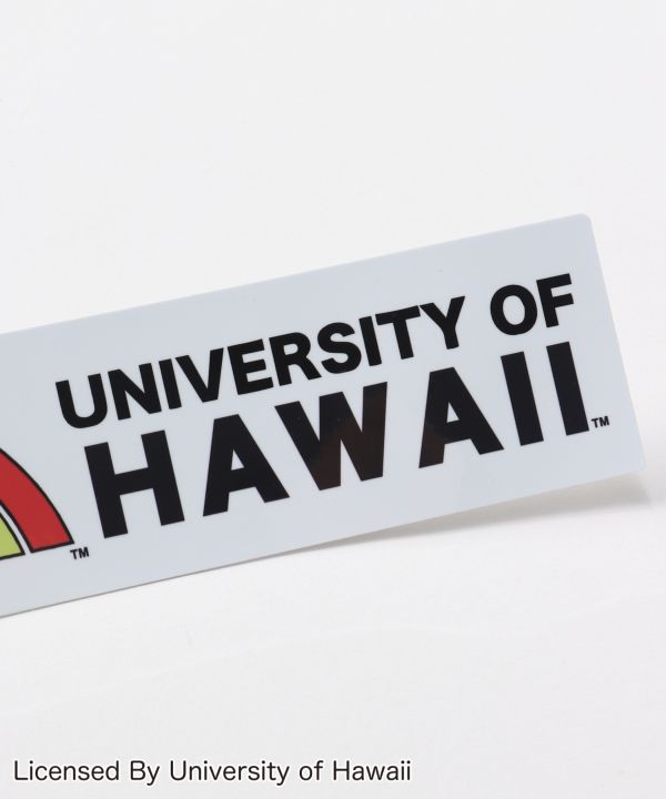 レインボーステッカー（19cm）【University of Hawaii 】