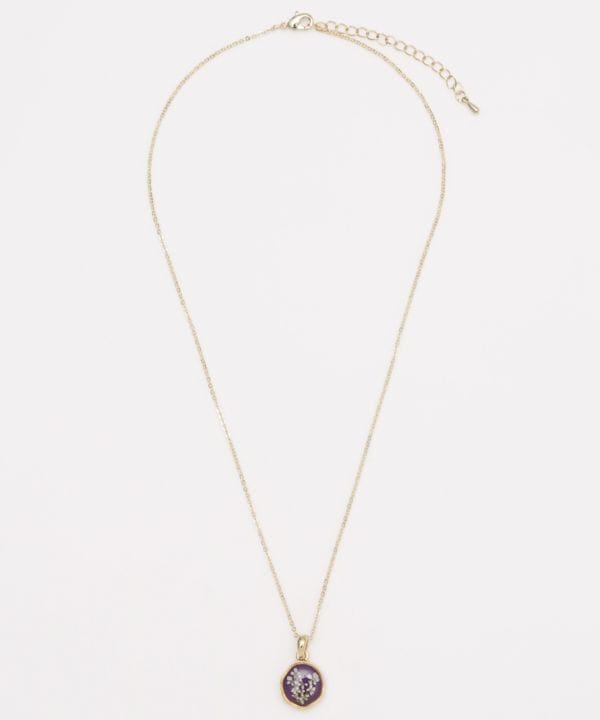 �z�E�Z�X�l�b�N���X