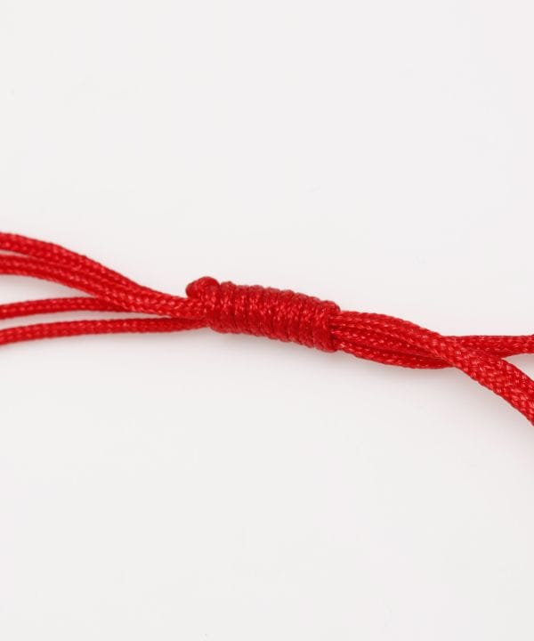 �v�����R�A�E�b�h�u���X