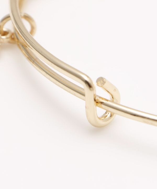 �v���l�^���A�o���O��