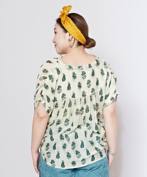 �A�[�f�B�u�s�n�o