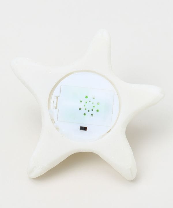 ���m�X�^�[�t�B�b�V�������v �r