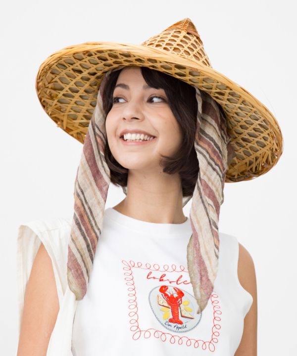 �{�_���X�g�[��