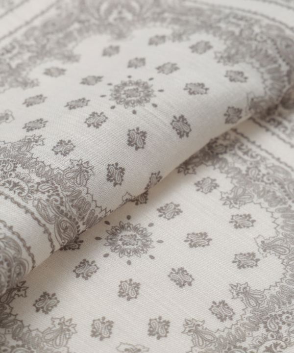 �o���f�B�X�g�[��