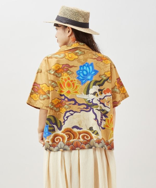 �p�^���J�V���c