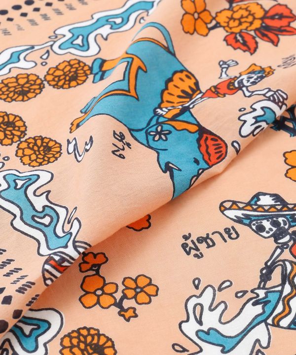 �{�w�N�����o���_�i