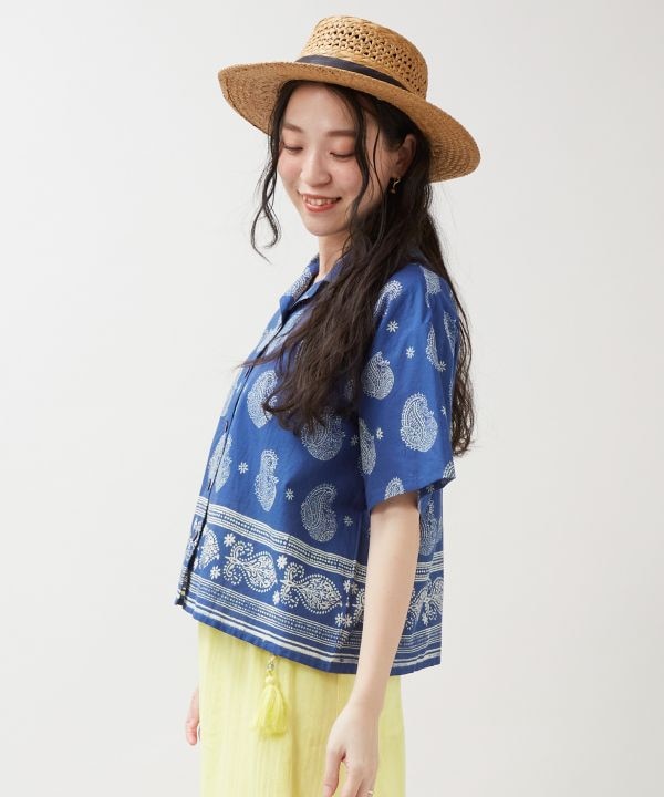 �f�B�u���i�V���c