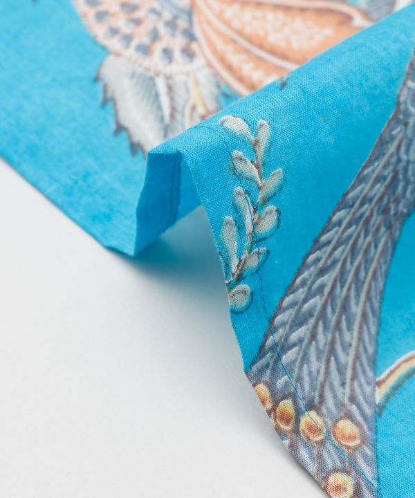 �o�h�t���e�[�u���N���X