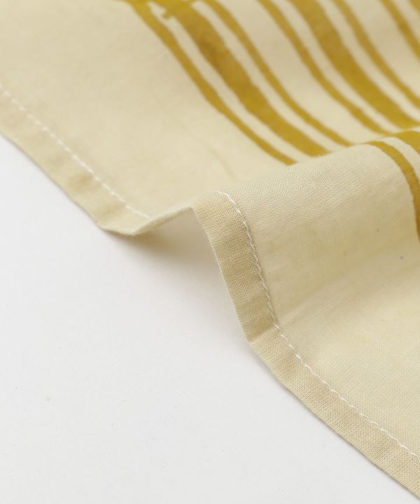 �v���g�X�g�[��