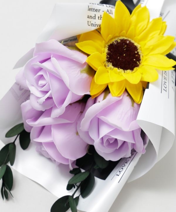 �t���[�u�[�P