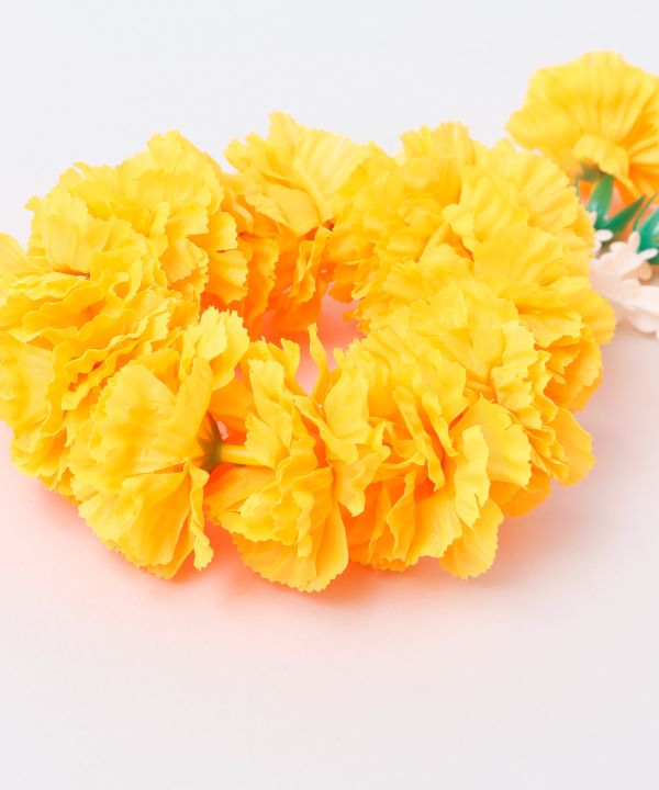 �}���[�S�[���h �l