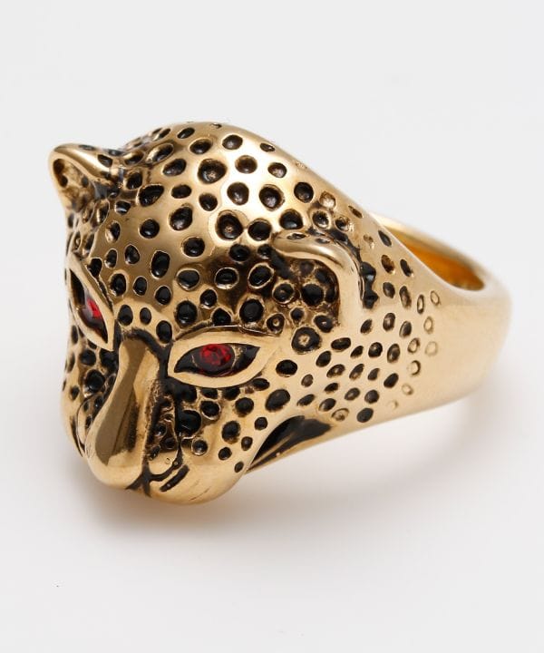 �����Y�W���K�[�����O