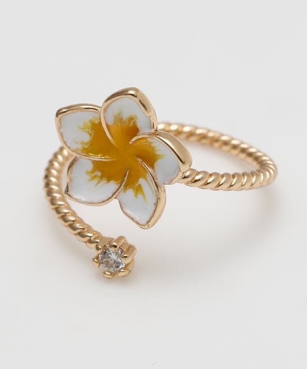 �v�������m�g�D�[�����O