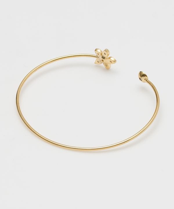 �z�N�t�����[�o���O��