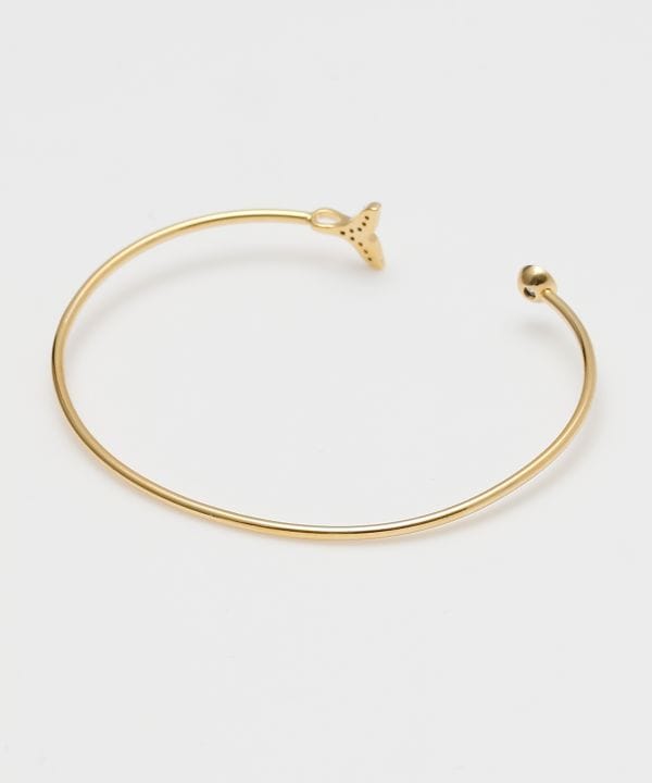 �J�C�z�G�[���o���O��