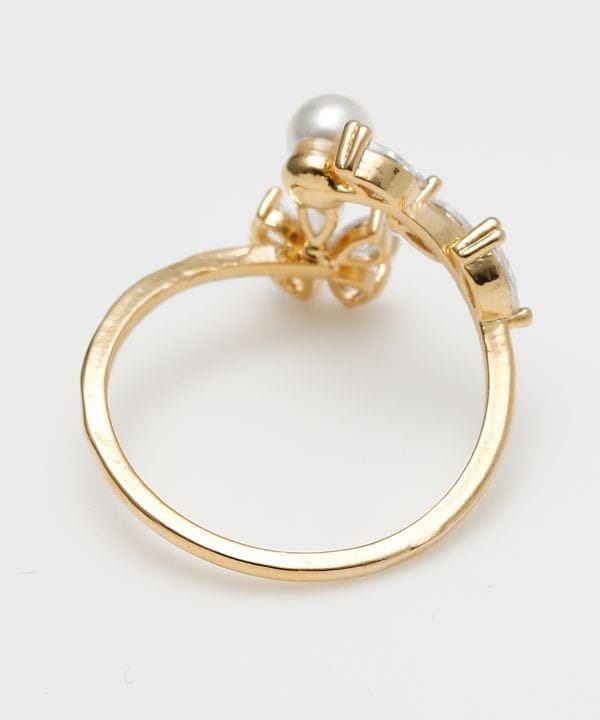 �v�A�q�i�����O